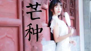 【粽子】❀芒种❀十九岁诞生日❀汉服旗袍一键换装.ver