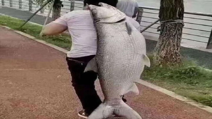 Cepat atau lambat saya akan ditertawakan sampai mati oleh para nelayan ini hahahahahahahaha