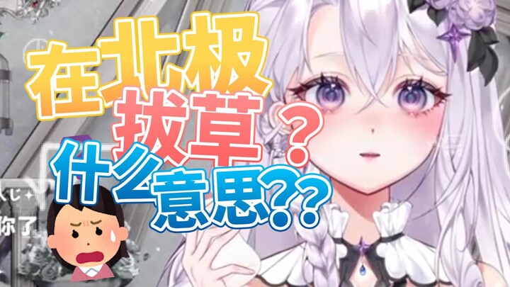 为什么要让主包去北极拔草啊？？？