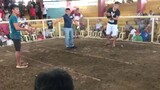 1st fight mautak toffy 3 cock WLW 3 cock ulutan