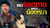 คนไทยในอิสราเอล เล่านาทีชีวิต หมาที่เลี้ยงไว้ช่วยชีวิตให้รอดตาย จาก ฮามาส | อีจัน EJAN