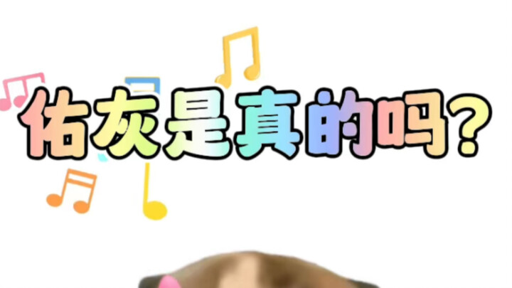 【หมาล่าเสี่ยวโก่ว】อิ้วฮุยจริงเหรอ? ความสัมพันธ์แท้จริงระหว่างชเวอึนอูและเวินจวิ้นฮุยเป็นยังไงกันแน่?