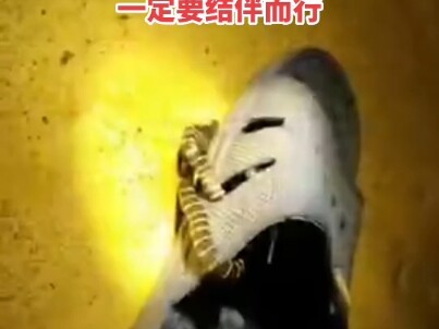 被蛇咬了，钓友们千万不要穿拖鞋去钓鱼了
