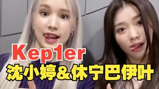 沈小婷和休宁巴伊叶