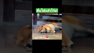 ตื่นได้แล้วโว้ย!