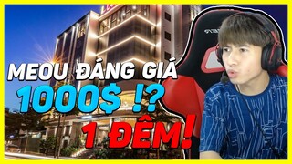 | DAILY STREAM | TÌNH ANH EM CỦA TÀIKON VÀ MEOU, 1 ĐÊM CỦA MEOU  GIÁ 1000$ !????.