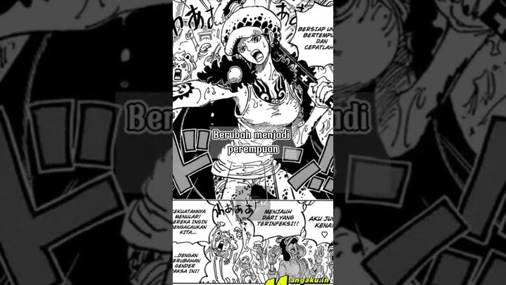 Trafalgar Law Jadi Perempuan Cantik❗#trafalgarlaw #trafalgardwaterlaw #kurohige #devilfruit #op