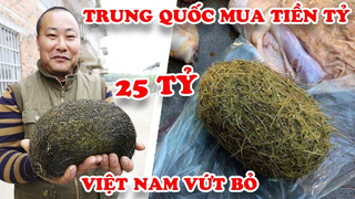 Người Trung Quốc Điên Cuồng Mua 7 Thứ Mà Người Việt Nam Vứt Bỏ Kỳ Lạ Nhất