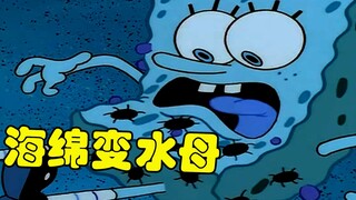 海绵宝宝搬离凤梨屋 去水母田过幸福生活