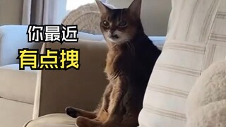 تلك اللحظات المحرجة للحيوانات!