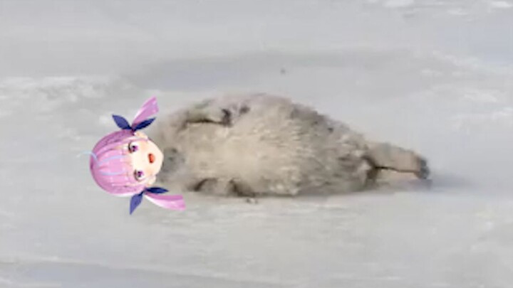 Aqua: I am so happy because I am debu