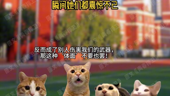 Youth Defense 1+2+3+4+5 Compilation