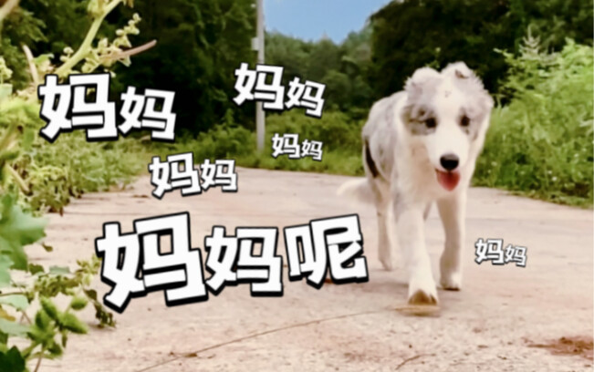 Bajingan cerewet, lu keluar rumah tadi lupa bawa apa ya?