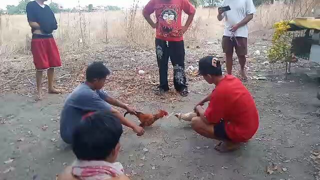 super Lolo 1win lamang kalaban Jan