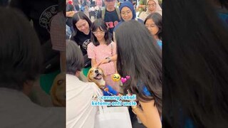 RYUKI FAN MEET DI PAMERAN HEWAN‼️😍 Gak nyangka Ryuki terciduk CCTV Biota nyuri makanan😂