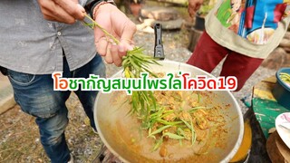 คั่วเผ็ดซี่โครงหมี vs ใบรากัญ ;DโอชากัญEp49