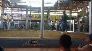 win two hits ulutan champion