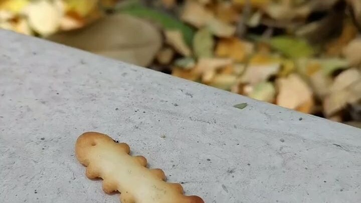 اذهب وأبلغ الخبر، لتعلم مدى خُبث النفوس.