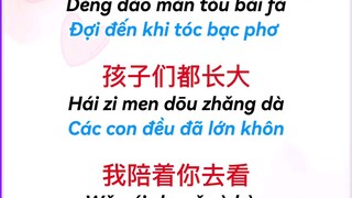 Kiếp sau vẫn muốn cùng anh lập gia đình - 下辈子还要和你成个家 #