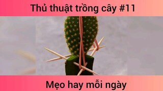 Mẹo thủ thuật trồng cây p11