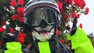 您的外卖正在跳舞，等不及的顾客可以申请退款哦