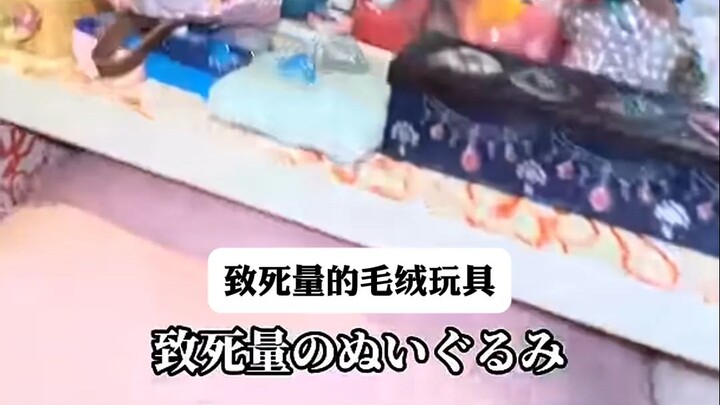 Kakak laki-laki Jepang membandingkan rak buku miliknya dan adik perempuannya