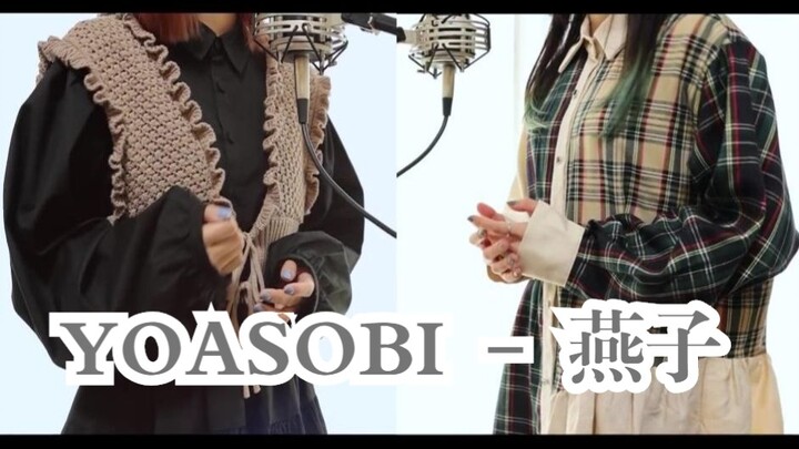สามเชฟต่างพากันดีใจ! ร้องคัฟเวอร์สุดเทพ! «YOASOBI - ทสึบาเมะ นกนางแอ่น» - Kotoha&Hanon