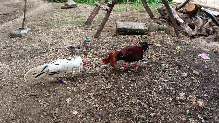 πππππ πΊππππ π
π πΌπππππ πΊππππ ππππ