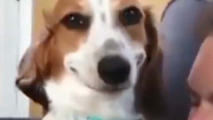 เจ้าของบ้าน: ตอนนั้นฉันกลัวมากเลย…