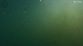 【原因は自分にある。】【杢代和人】Midnight Call