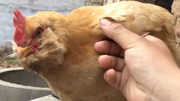 Luo Ji: I’m professionally trained—unless I just can’t help myself, haha!