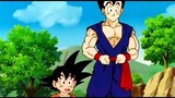 gohan training with videl