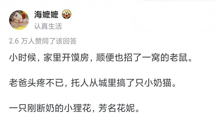 Seberapa tangguh kucing macan tutul khas Tiongkok ini?