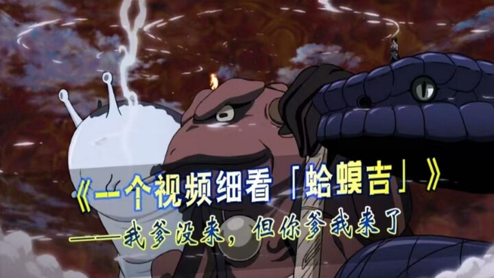 一个视频细看蛤蟆吉的一生，火影也叫蛤蟆吉成长记