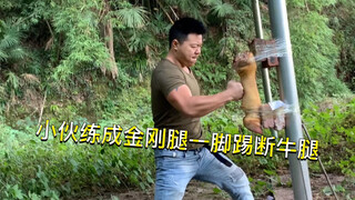 功夫小伙苦练铁腿一脚踢断牛腿，爆发力惊人