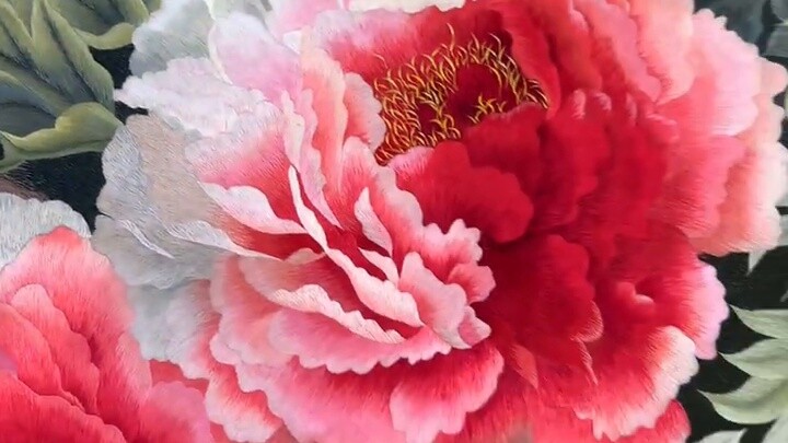 Don’t you like the national flower, peony?