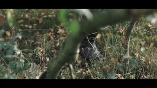 wiking 2019 ( ww2 short film) TRAILER