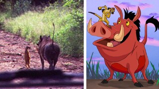 15 Animated Characters Caught In Real Life