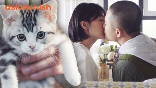 Hot new neighbor wants to raise a stray kitten together | Chinese Romance | Adoring