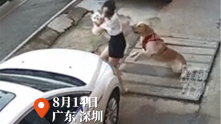 太欺负人家了！