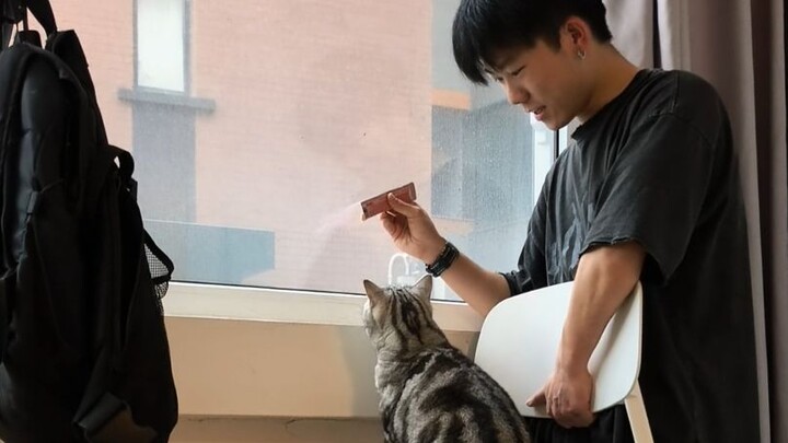 On Training a Scared Cat to Jump onto the Stairs