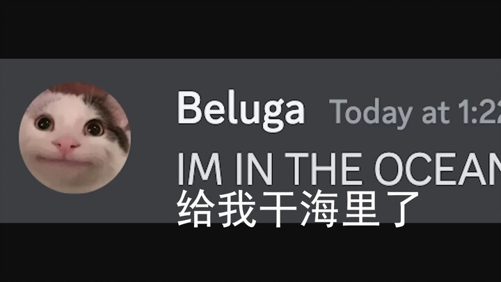 你根本不在学校，你躲哪儿去了？