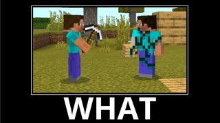 WAIT WHAT (Minecraft) #11