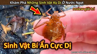 Khám Phá Những Sinh Vật Kỳ Dị Và Bí Ẩn Dưới Nước || Review Giải Trí Đời Sống