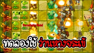 ทดลองใช้ว่านหางจระเข้ - Plant vs Zombies 2 #9 [ เกมมือถือ ]