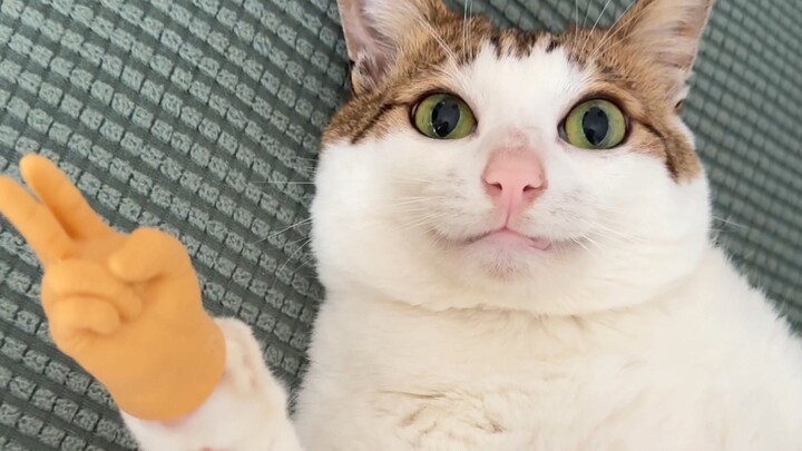 Uncle learned single rhyme for the girl