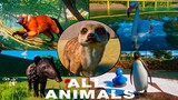 ALL 68 ANIMALS! Every Single Animal in Planet Zoo 2023