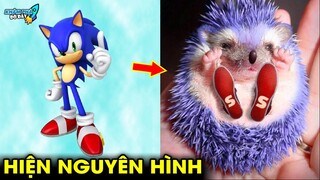 ✈️ 8 Sự Thật Kỳ Lạ Đằng Sau Nhím Sonic Khiến Các Fan Cực Bất Ngờ | Khám Phá Đó Đây