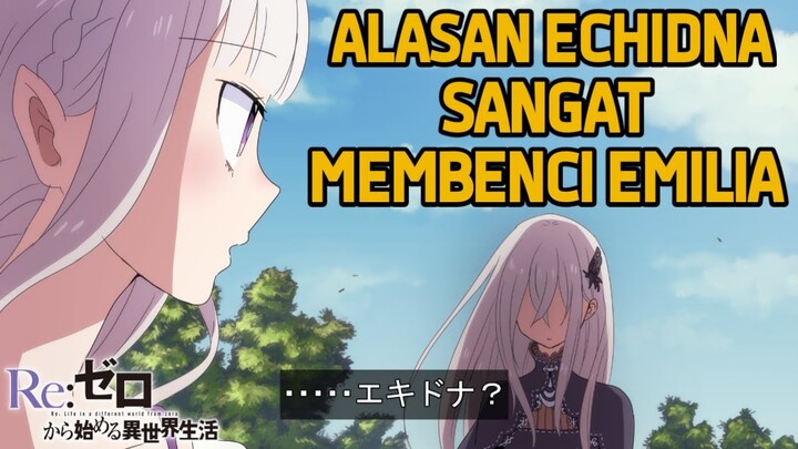 Alasan Echidna sangat membenci Emilia !!! | Re:Zero Teori