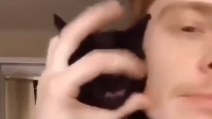 Sembilan puluh sembilan jenis suara kucing